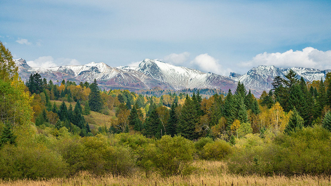 采访PANORAMA解决方案提供者——中国科学院解焱博士