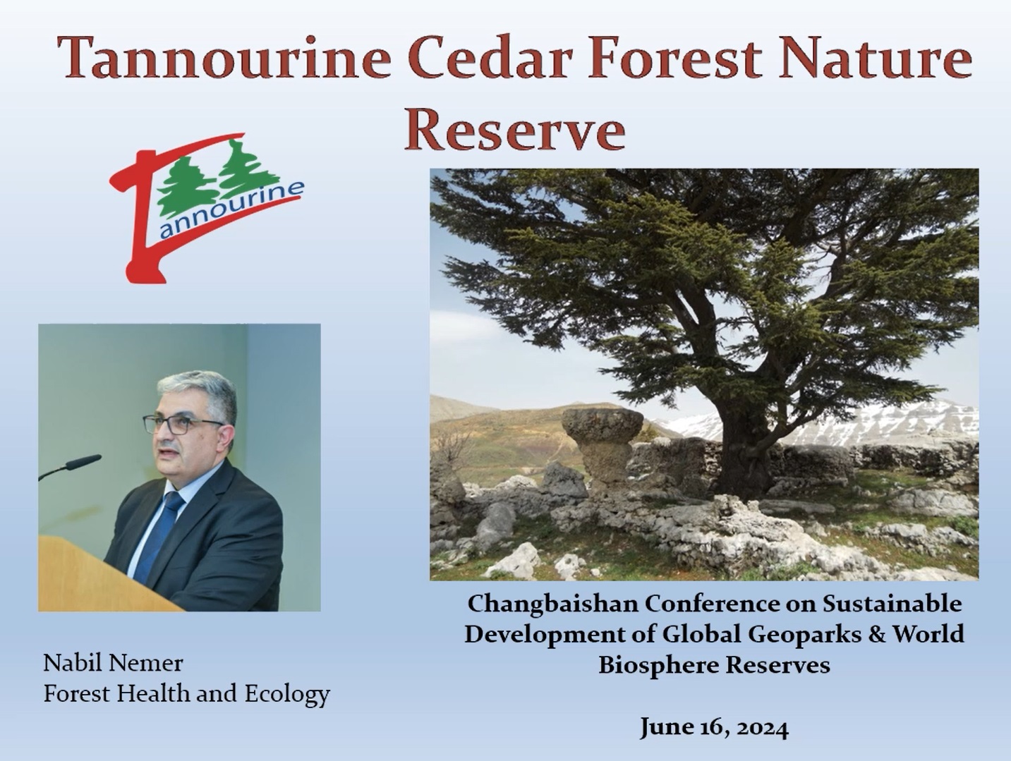 塔努林雪松森林自然保护区Tannourine Cedar Forest Nature Reserve（黎巴嫩）