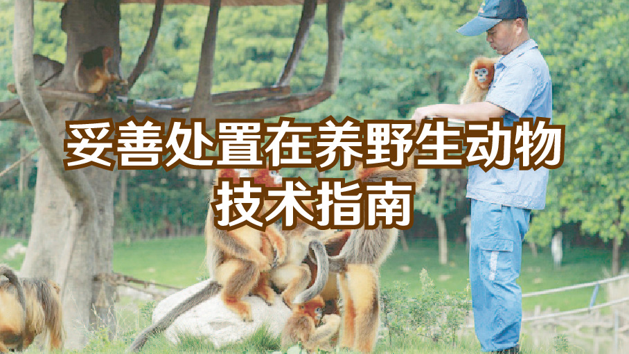 妥善处置在养野生动物技术指南