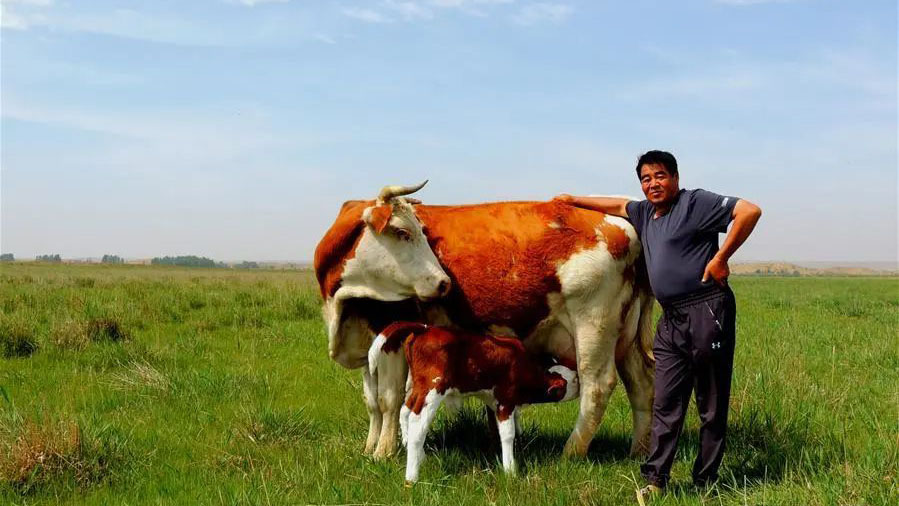 从将军之子到草原之子：他给了草原最好的礼物