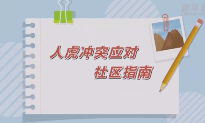 人虎冲突应对社区指南