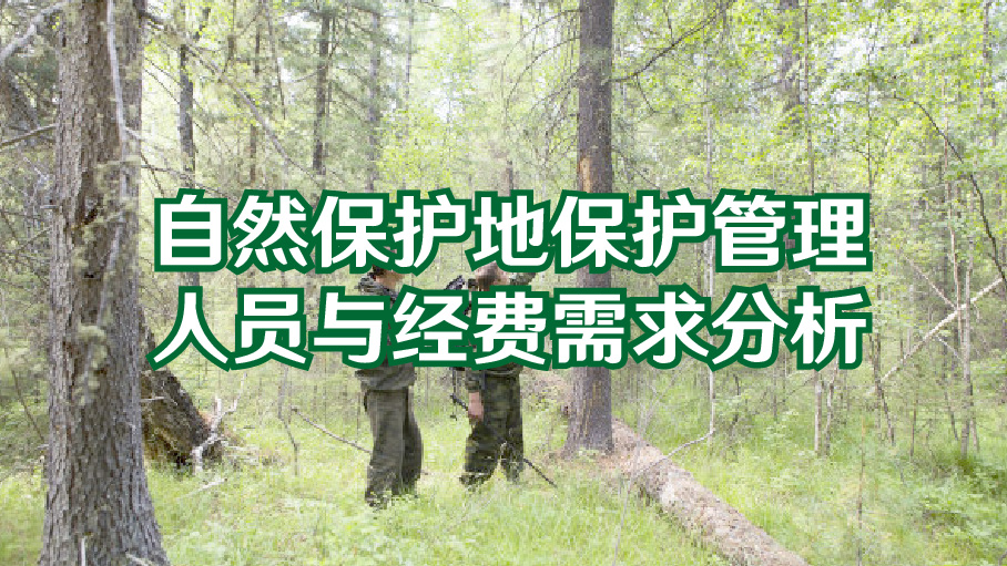 自然保护地保护管理人员与经费需求分析
