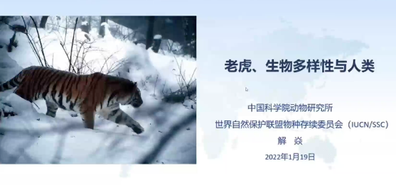 解焱视频 | 老虎、生物多样性与人类