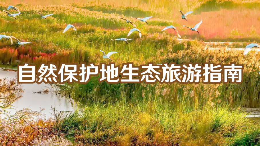 自然保护地生态旅游指南