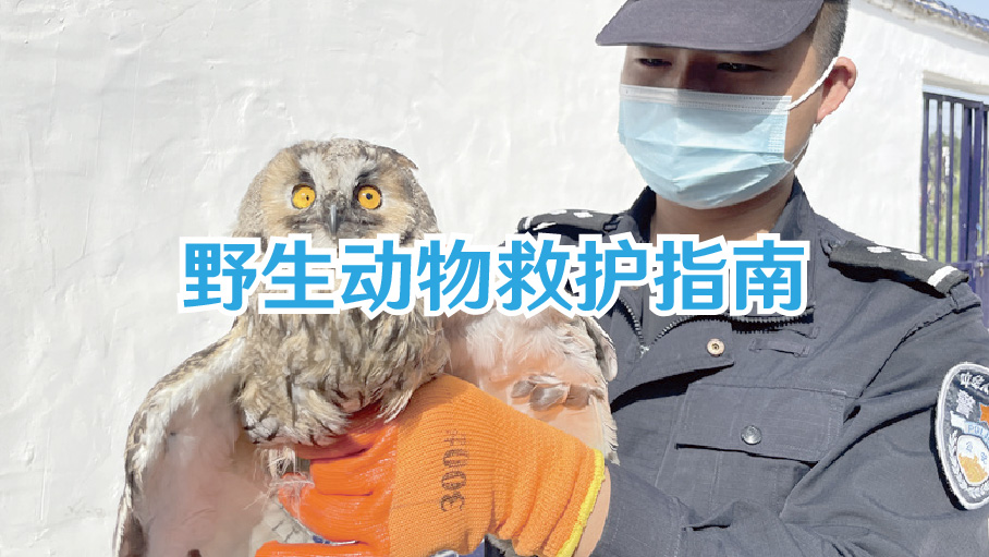 野生动物救护指南