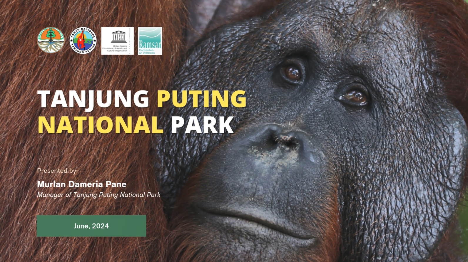 丹戎普廷国家公园Tanjung Puting National Park（印度尼西亚）