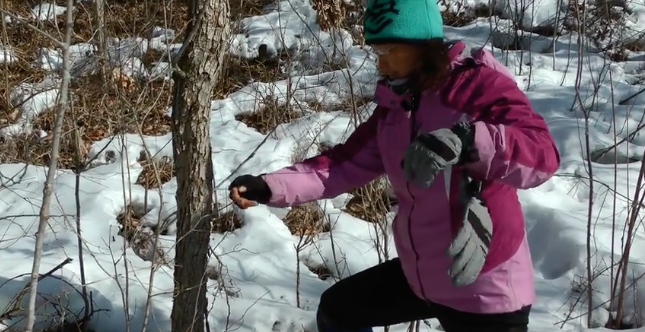 解焱视频 | 猎套是什么？